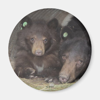 Mamma & unge 2013 Rundmagnet Magnet