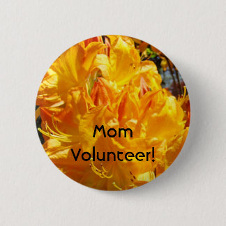Mamma Volunteer! Orange Rhdodendrons Flowers Knapp