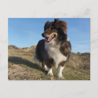 Mamma Vykort