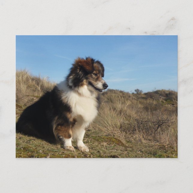 Mamma Vykort (Framsida)