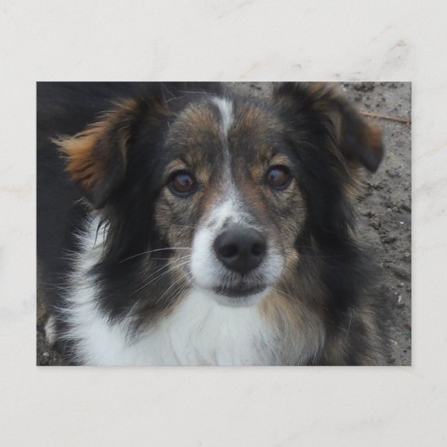 Mamma Vykort (Framsida)