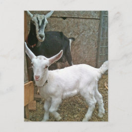 Mamma Zoe med vykort med liten Daisy