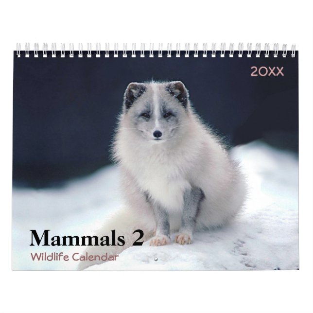 Mammals 2 Wildlife 2021 Calendar Kalender (Omslag)
