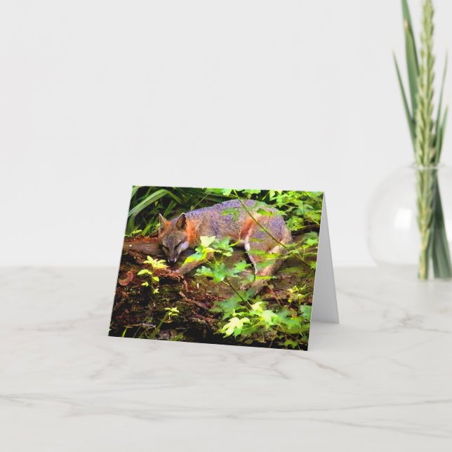 MAMMARÄVEN TAR EN TA SIG EN TUPPLUR KORT (Framsida)