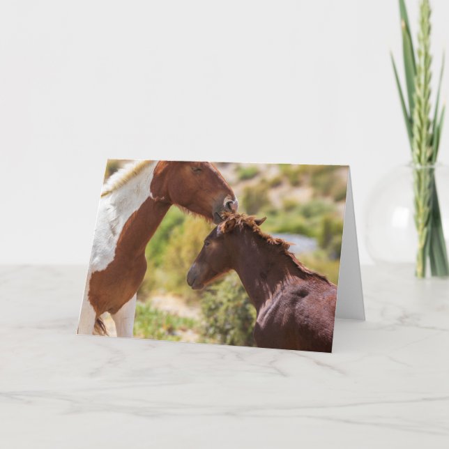 Mammas pussar kort (Framsida)