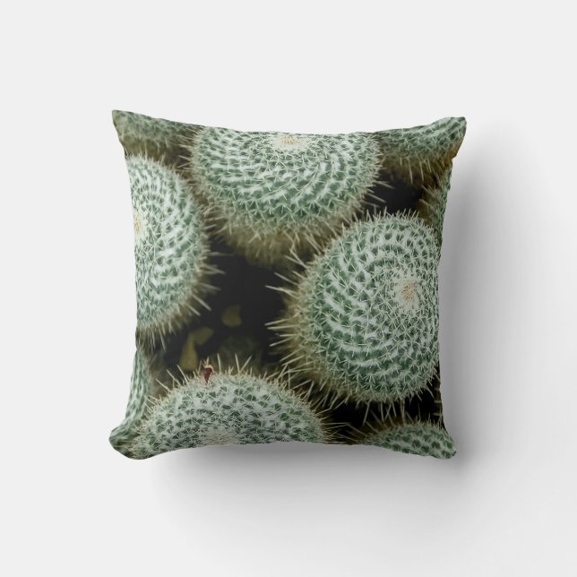 Mammillaria hahniana Dekorativ kudde (Framsida)