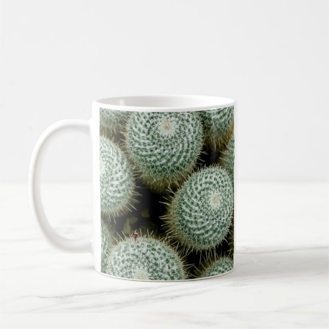 Mammillaria hahniana kaffemugg (Vänster)