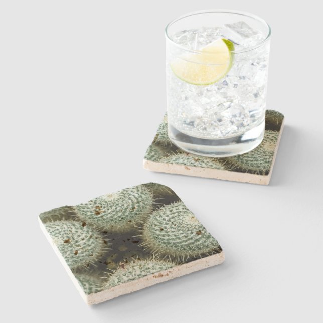 Mammillaria hahniana stenunderlägg (Sidan)