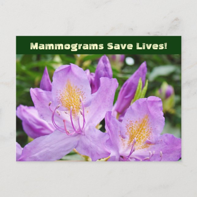 Mammografi räddar liv! vykort Blommor (Framsida)
