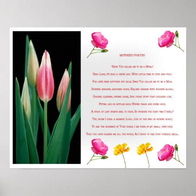 Mammor bönavtryck poster (Framsidan)