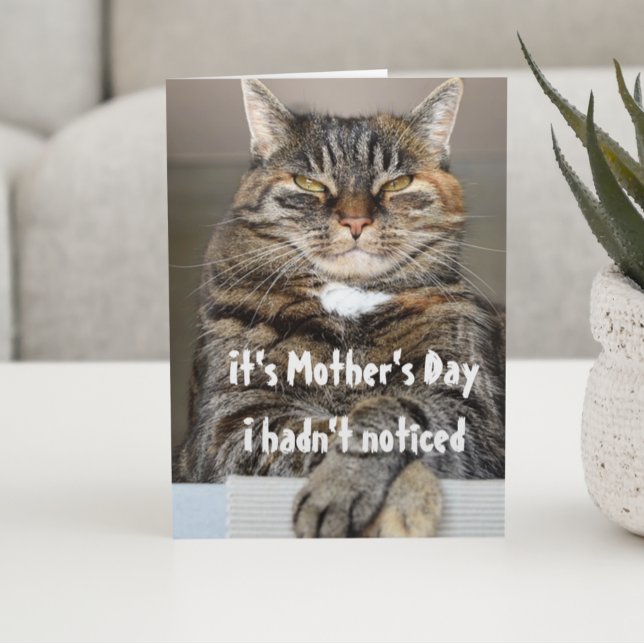 Mammor Day från Cat Funny Cute Kort (Skapare uppladdad)