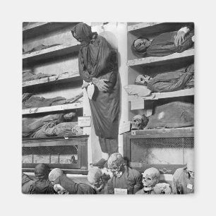 Mammor i de Palermo catacombsna, italien Magnet