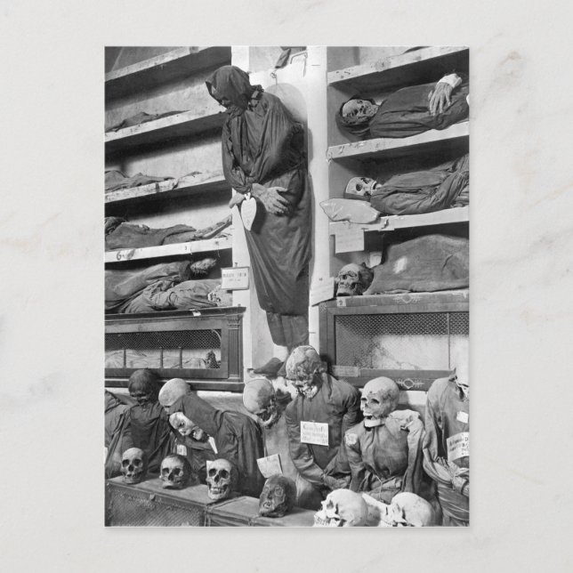 Mammor i de Palermo catacombsna, italien Vykort (Framsida)