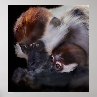 Mammor Kärlek Poster