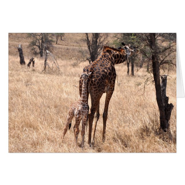 Mammor och mig hälsningskort (Framsidan Horizontal)