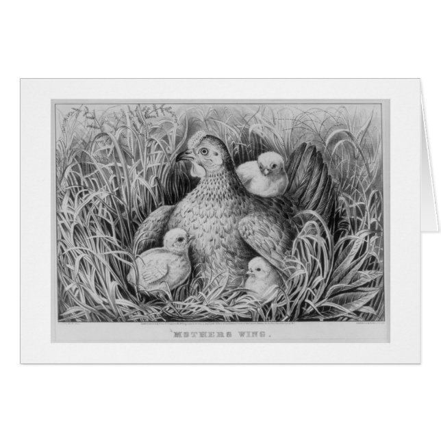 & mammorvinge hälsningskort (Framsidan Horizontal)