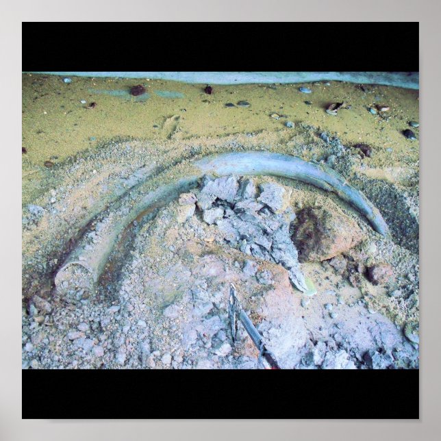 mammotekiv (2) poster (Framsidan)