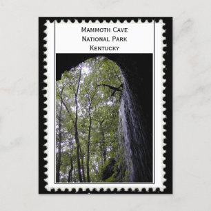 Mammoth Cave Kentucky Vykort