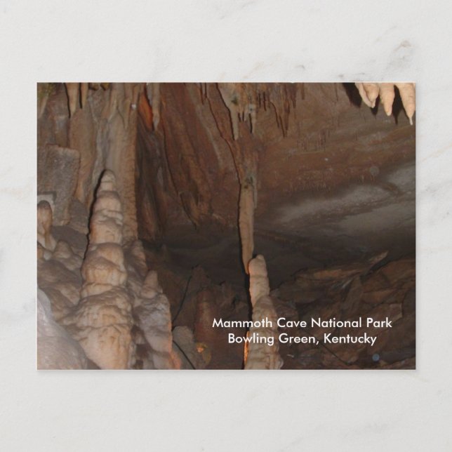 Mammoth Cave KY & Caesars Palace IN IN Vykort (Framsida)