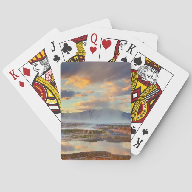 Mammoth Hett Vår Casinokort (Baksidan)