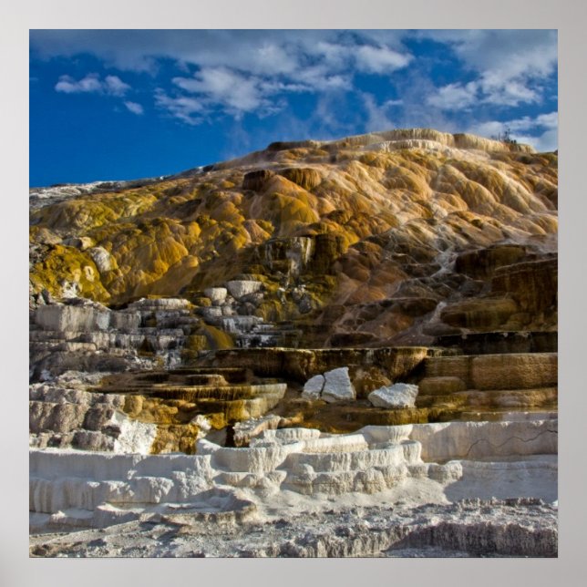 Mammoth Hett Vår Poster (Framsidan)