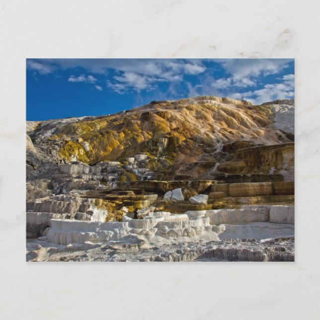 Mammoth Hett Vår Vykort (Framsida)