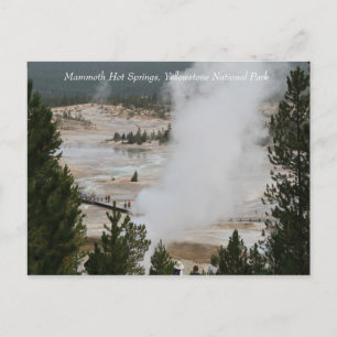 Mammoth Hett Vår, Yellowstone National Park Vykort