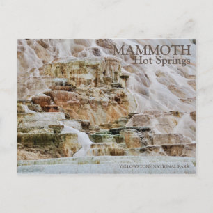 MAMMOTH HETT VÅR, YELLOWSTONE NATIONAL PARK, WY VYKORT