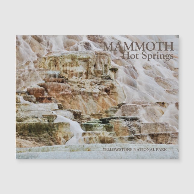 Mammoth Hett Vår Yellowstone nationalpark (Framsida)