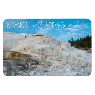 Mammoth Hett Vår Yellowstone nationalpark Magnet