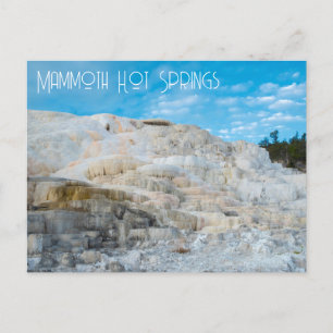 Mammoth Hett Vår Yellowstone nationalpark Vykort