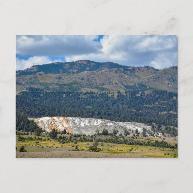 Mammoth Hett Vår, Yellowstone, Wyoming Vykort (Framsida)