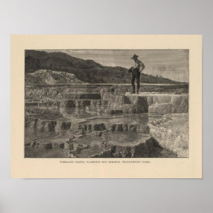 Mammoth Hot Springs beskådar Poster