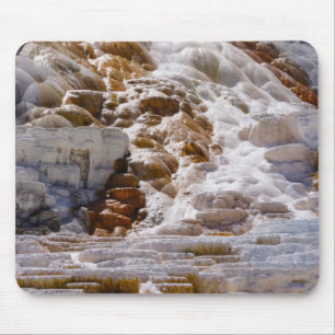 Mammoth Hot Springs Musmatta