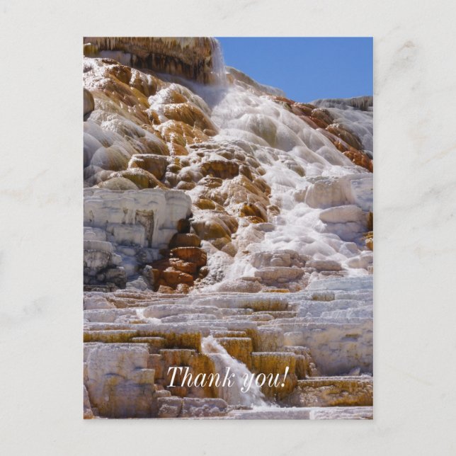 Mammoth Hot Springs Vykort (Framsida)