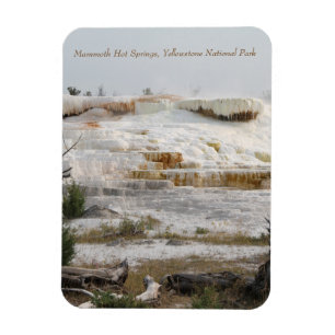 Mammoth Hot Springs Yellowstone nationalpark Magnet