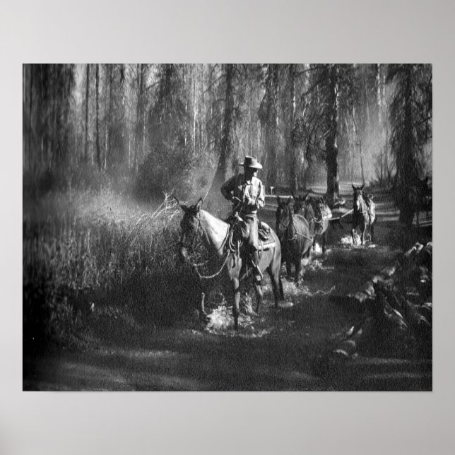 Mammoth Mules Poster (Framsidan)