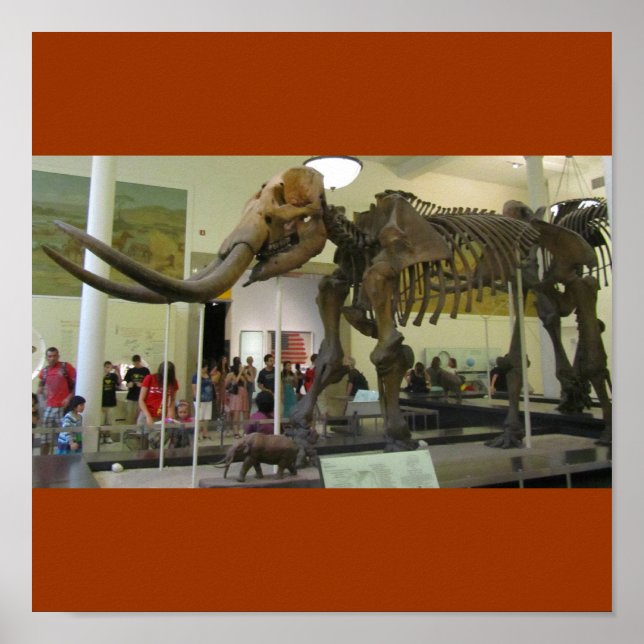 Mammoth! Poster (Framsidan)