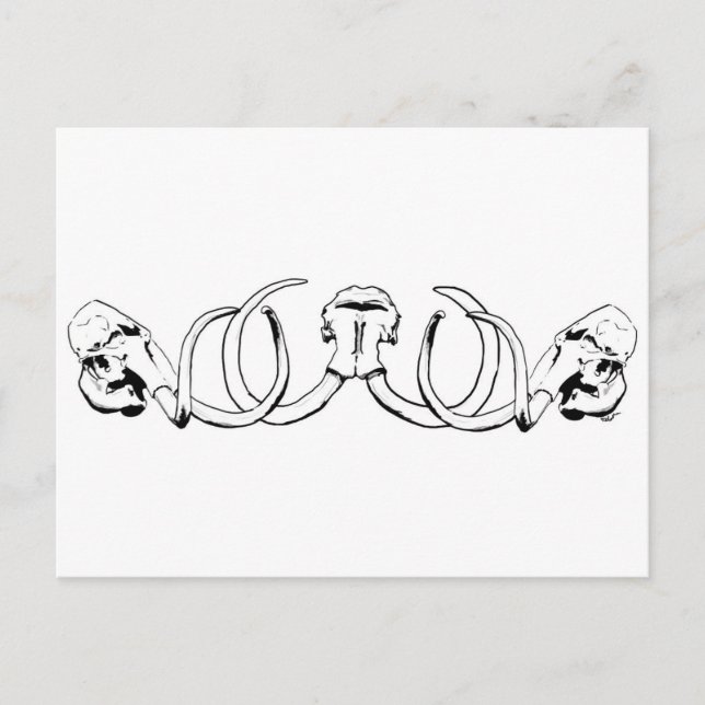 Mammoth Skull-vykort Vykort (Framsida)