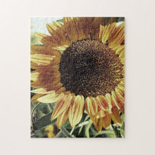 Mammoth Solros Photograph Pussel