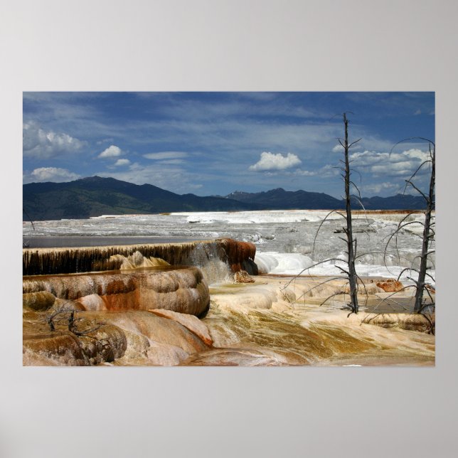 Mammoth Terraces Poster (Framsidan)