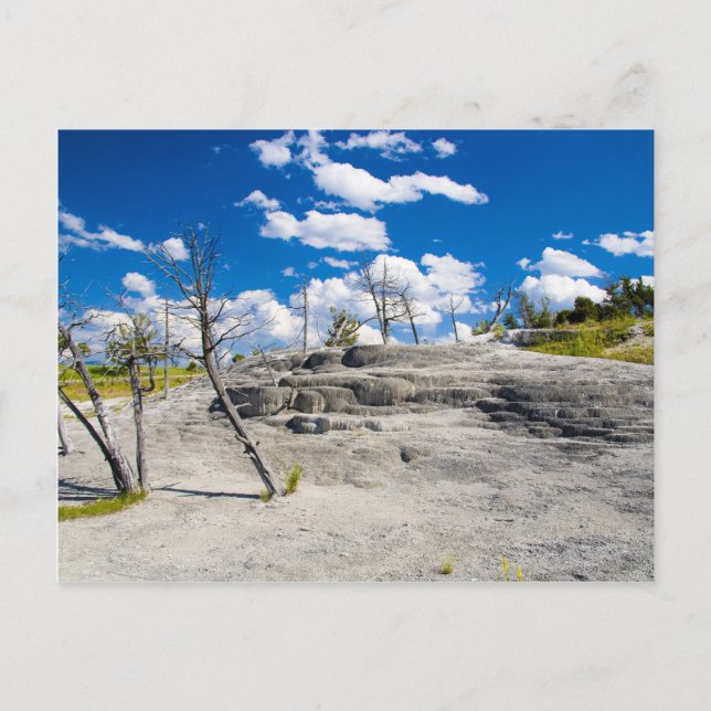 Mammoth Vår Vykort (Framsida)