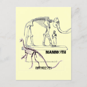 Mammoth Vykort