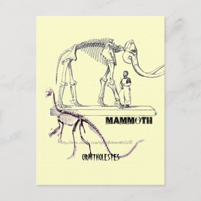 Mammoth Vykort (Framsida)