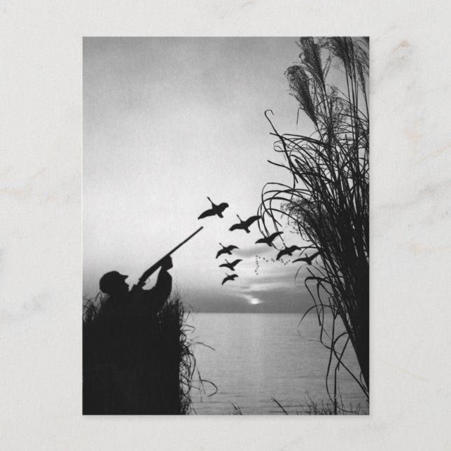 Man Anka Hunting Vykort (Framsida)