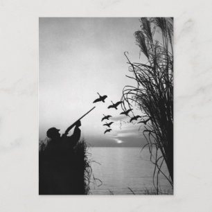 Man Anka Hunting Vykort