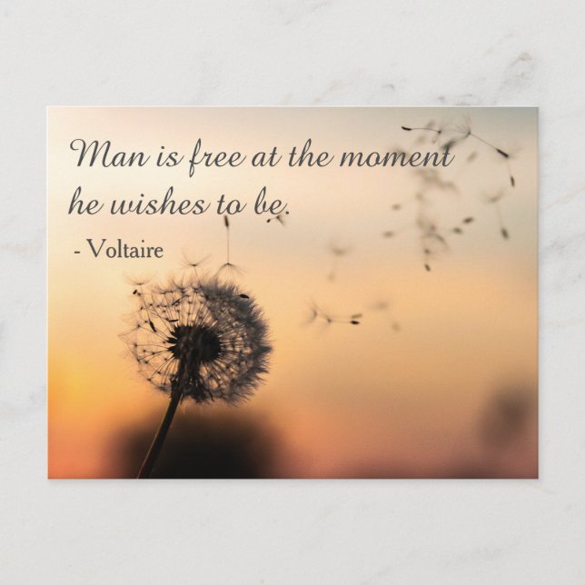 Man is Free Voltaire Quote Vykort (Framsida)
