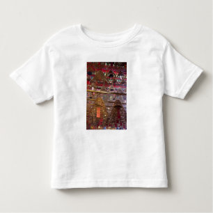 Man Mo Buddhist Temple från Hongkong T Shirt