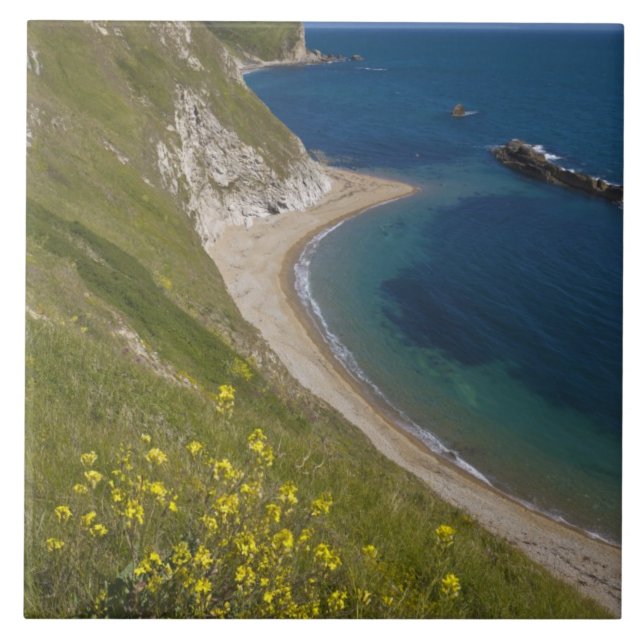 Man o Krig Bay, Jurassic Kusten, Lulworth, Dorset Kakelplatta (Framsidan)