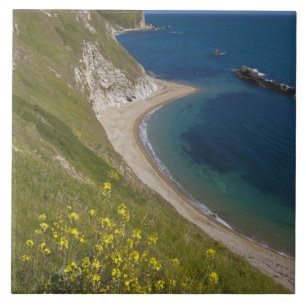 Man o War Bay, Jurassic Coast, Lulworth, Dorset, Kakelplatta